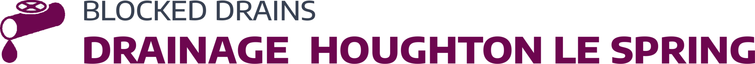website logo